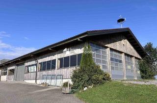 Geschäftslokal mieten in 5201 Seekirchen am Wallersee, (Gewerbe-)Lager im Trumer-Seen-Gebiet zu vermieten - 420m² für 2.940,00 Euro pro Monat!