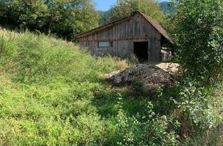 Gewerbeimmobilie kaufen in 9300 Sankt Veit an der Glan, St Veit / St Donat : 2,7 Ha Land- und Forstw. -Grundstück mit Widmungpotenzial , zzt Pferde Weide mit Stall & Quelle, in traumhafter Lage in Kärnten - für 349.000,00 € zu haben!