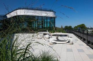 Büro zu mieten in 1300 Mannswörth, Moderne Büroflächen mit top-Ausstattung in der Airportcity in 1300 zu mieten