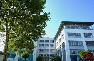 Büro zu mieten in 2320 Schwechat, Moderner Business Park - Büros zu mieten - 2320 Schwechat