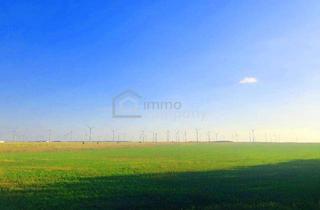 Gewerbeimmobilie kaufen in 2424 Zurndorf, Ergiebig einträgliche landwirtschaftliche Nutzfläche