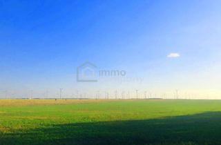 Grundstück zu kaufen in 2424 Zurndorf, Ergiebig einträgliche landwirtschaftliche Nutzfläche