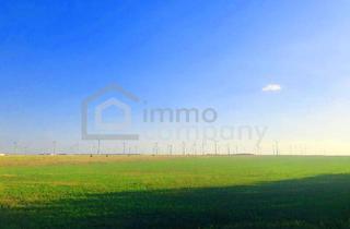 Grundstück zu kaufen in 2424 Zurndorf, Ergiebig einträgliche landwirtschaftliche Nutzfläche