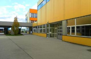 Büro zu mieten in 2201 Seyring, GHI-Park Seyring