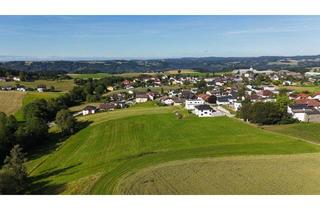 Grundstück zu kaufen in 4142 Hofkirchen im Mühlkreis, Bauerwartungsland - wunderschönes Grundstück