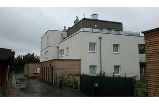 Wohnung mieten in Kalladorfer Straße 298/1/4, 2042 Guntersdorf, Geförderte Miete mit Kaufoption | 1. OG mit Balkon.