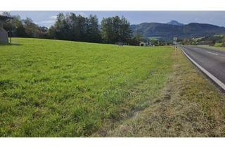  in 4882 Oberwang, Tolles Gewerbegrundstück an der A1 zu vermieten