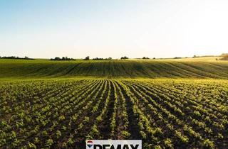 Immobilie kaufen in 2325 Himberg, Biologische Landwirtschaft!