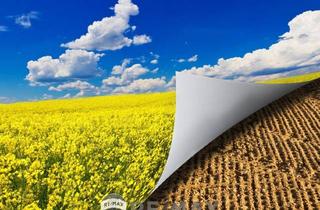 Immobilie kaufen in 2325 Himberg, "Biologische Landwirtschaft!"