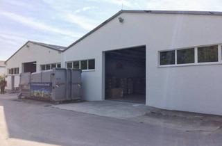 Lager mieten in 2431 Enzersdorf an der Fischa, Lagerhalle und Büro zu mieten