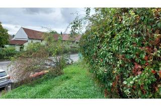 Grundstück zu kaufen in 3252 Petzenkirchen, Grosses Grundstück mit bewilligtem Projekt!