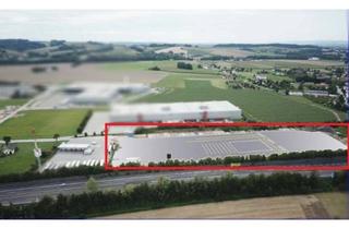in 4974 Ort im Innkreis, Betriebsbaugrundstück 32.520 m² in Top Lage zu verpachten !!