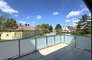Wohnung mieten in 1220 Wien, 3 Zimmer & 2 Terrassen, Gemütlichkeit provisionsfrei f. Mieter/Käufer // 3 rooms & 2 terraces, comfort Tenant/Buyer commission free //