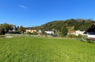 Grundstück zu kaufen in Sackstraße, 8052 Graz, BESONDERHEIT - sonniges Grundstück mit ca. 1.361m² in ruhiger Sackstraßenlage!