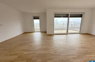 Wohnung kaufen in Ackergasse, 2700 Wiener Neustadt, Erwerben Sie den zweiten KFZ-Stellplatz mit einem Preisnachlass von 50 %.