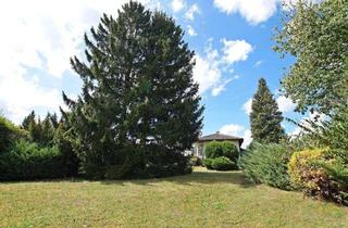 Haus kaufen in 7442 Hochstraß, Sonnenland Burgenland! Traumhafter Bungalow mit Vollkeller und Carport in toller Lage!