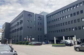 Büro zu mieten in 2514 Traiskirchen, Lager-/ Produktionsflächen ab ca. 1500 m zu Mieten - Traiskirchen