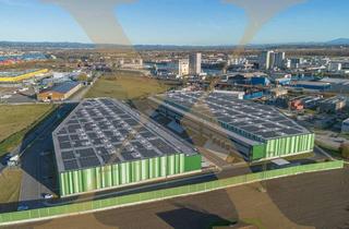 Büro zu mieten in 4470 Enns, NEUBAU - Lager-/Produktionshalle (optional mit Büroflächen) in Enns/Ennshafen zu vermieten!