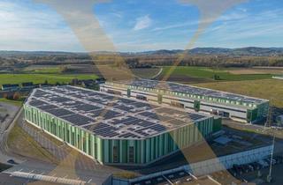 Büro zu mieten in 4470 Enns, NEUBAU - Lager-/Produktionshalle (optional mit Büroflächen) in Enns/Ennshafen zu vermieten!