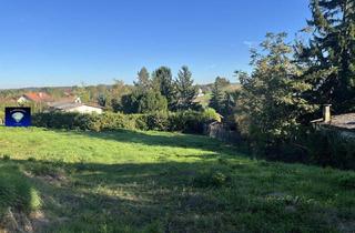 Grundstück zu kaufen in 7202 Bad Sauerbrunn, Bad Sauerbrunn Baugrundstück in wunderschöner Lage-1161