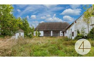 Bauernhäuser zu kaufen in 3580 Horn, Geschlossener Bauernhof mit großem Stadel!