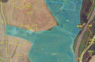 Gewerbeimmobilie kaufen in 8362 Tautendorf bei Fürstenfeld, 3,6 ha große landwirtschaftliche Nutzfläche in Tautendorf