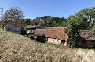 Haus kaufen in 8330 Mühldorf bei Feldbach, Hofstelle im Dornröschenschlaf nähe der Stadt Feldbach