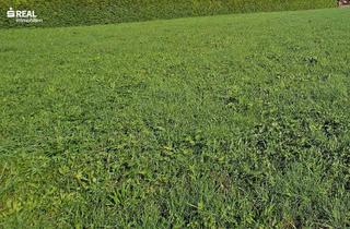 Grundstück zu kaufen in 8380 Jennersdorf, 8380 Jennersdorf - Traumhaftes Baugrundstück für Privatpersonen und Bauträger am Rande Ortszentrums!