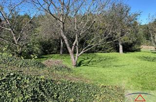 Haus kaufen in 8292 Neudau, Tolles Grundstück mit kleinem Haus!