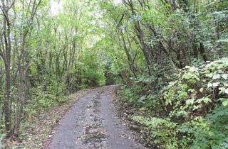 Grundstück zu kaufen in Kaltbrunn, 2391 Kaltenleutgeben, fast 2 ha Wald nahe der Wiener Stadtgrenze