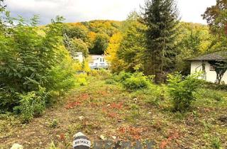 Grundstück zu kaufen in 3001 Mauerbach, "Rarität - Baugrund in Mauerbach an der Grenze zu Wien"