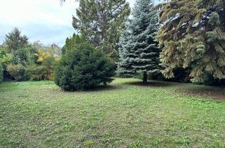 Grundstück zu kaufen in 2483 Ebreichsdorf, Traumhafter Baugrund für Villa oder Zweifamilien-/Doppelhaus