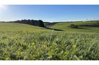 Grundstück zu kaufen in 4851 Gampern, Naturidylle am Gamperner Berg – Nur noch 3 attraktive Baugrundstücke verfügbar!