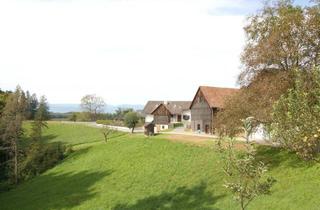 Gewerbeimmobilie kaufen in 8503 Sankt Josef (Weststeiermark), Weststeiermark nahe Graz: Leben im Grünen - Gebäude und großes Grundstück mit vielen Möglichkeiten
