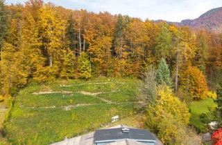 Wohnung kaufen in Nikolaus-Lenau-Straße 9A, 4820 Bad Ischl, Neubauwohnung in der Kulturhauptstadt Bad Ischl