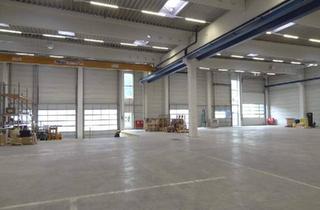 Gewerbeimmobilie mieten in 6112 Wattens, Zwei neue bzw. neuwertige Gewerbehallen gelangen im Gewerbegebiet von Wattens zur Vermietung - auch einzeln anmietbar