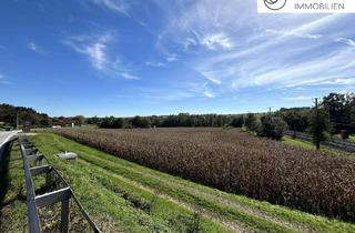 Grundstück zu kaufen in 4702 Wallern an der Trattnach, Betriebsbaugrundstück (B) I 12.000 m² I ideale Verkehrsanbindung I Baubewilligung bereits vorhanden!