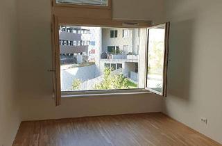 Wohnung mieten in 1100 Wien, Wohnstudio in gemeinschaftlichem Wohnprojekt
