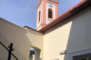 Loft kaufen in 1190 Wien, Provisionsfrei -Ruhige gemütliche Wohnung im Kahlenbergerdorf