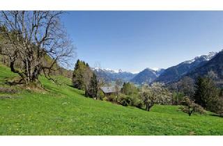 Grundstück zu kaufen in 6700 Bürserberg, Grundstück mit Ferienhauswidmung zu verkaufen - 686 m²