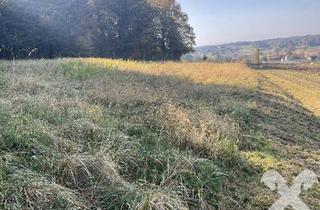 Gewerbeimmobilie kaufen in 8422 Sankt Nikolai ob Draßling, Kaufen statt Pachten - 4.384 m² Ackerland in St. Nikolai ob Drassling