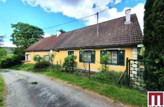 Bauernhäuser zu kaufen in 8261 Sinabelkirchen, Sonnige Landidylle nahe Sinabelkirchen - inklusive Baugrundstück