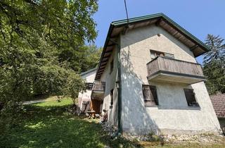 Haus kaufen in 4391 Waldhausen im Strudengau, Neuer Preis! Mein Landsitz: malerisch- idyllisch-romantisch