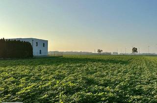 Grundstück zu kaufen in 2486 Pottendorf, VOLLE FLEXIBILITÄT, ABENDSONNE, PRIVATSTRASSE /// zwei Baugrundstücke mit perfekter Infrastruktur