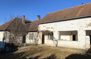Bauernhäuser zu kaufen in 7432 Oberschützen, Bauernhof mit Arkaden und Stadel zum Renovieren !