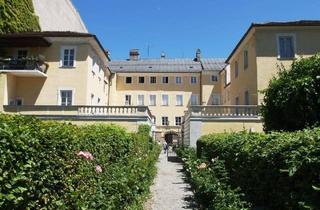 Büro zu mieten in Maria-Theresien-Straße, 6020 Innsbruck, Palais Trapp - mitten im Zentrum 2 Räume zur Vermietung als Büro