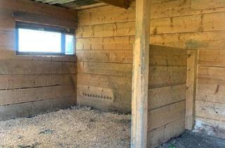 Grundstück zu kaufen in Hochosterwitz, 9300 Sankt Veit an der Glan, St Veit / St Donat : 2,7 Ha Land- und Forstw. -Grundstück mit Widmungpotenzial , zzt Pferde Weide mit Stall & Quelle, in traumhafter Lage in Kärnten - für 349.000,00 € zu haben!
