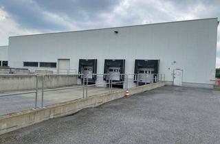 Immobilie mieten in 7111 Parndorf, Lagerflächen bis zu 1000m² mit Warenmanipulation im Gesamtpaket verfügbar