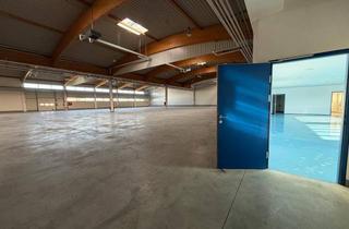 Büro zu mieten in 7011 Siegendorf, LOGISTIKHALLEN ZU VERMIETEN