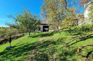 Haus kaufen in 3623 Elsenreith, Vierkanthof im schönen Waldviertel im Bezirk Zwettl - ideal für Tierhaltung
